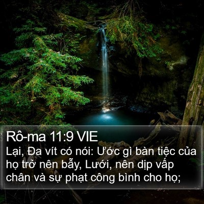 Rô-ma 11:9 VIE Bible Verse Image