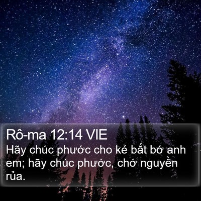 Rô-ma 12:14 VIE Bible Verse Image
