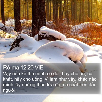 Rô-ma 12:20 VIE Bible Verse Image