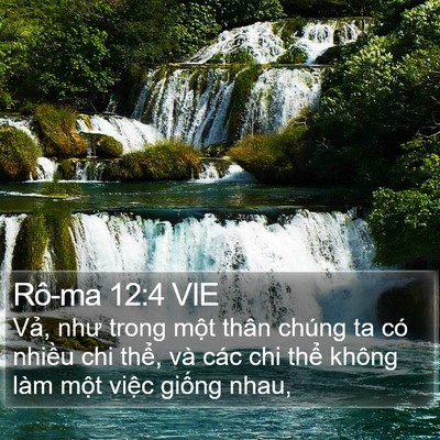 Rô-ma 12:4 VIE Bible Verse Image