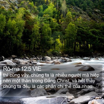 Rô-ma 12:5 VIE Bible Verse Image