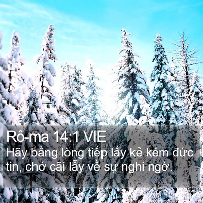 Rô-ma 14:1 VIE Bible Verse Image