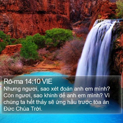 Rô-ma 14:10 VIE Bible Verse Image