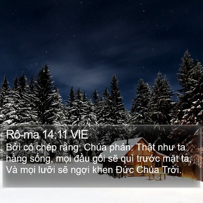 Rô-ma 14:11 VIE Bible Verse Image