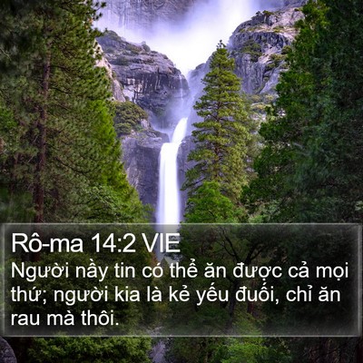 Rô-ma 14:2 VIE Bible Verse Image