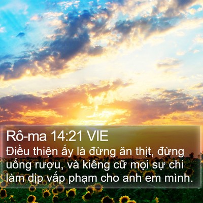Rô-ma 14:21 VIE Bible Verse Image
