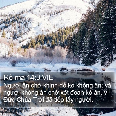 Rô-ma 14:3 VIE Bible Verse Image