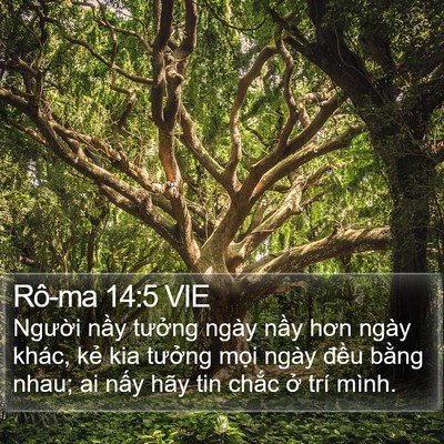 Rô-ma 14:5 VIE Bible Verse Image
