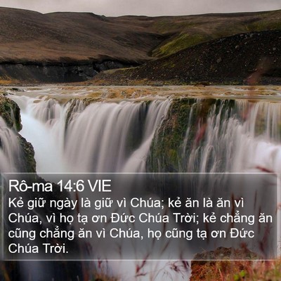 Rô-ma 14:6 VIE Bible Verse Image