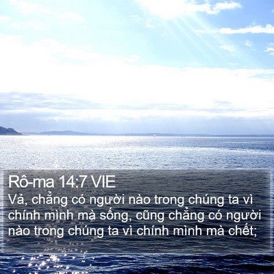 Rô-ma 14:7 VIE Bible Verse Image