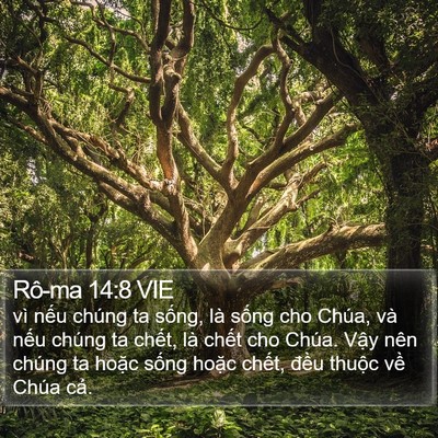 Rô-ma 14:8 VIE Bible Verse Image