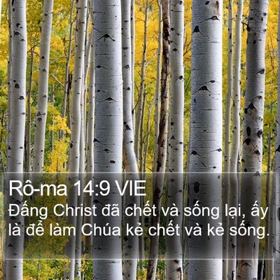 Rô-ma 14:9 VIE Bible Verse Image