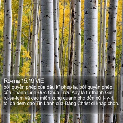Rô-ma 15:19 VIE Bible Verse Image