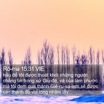 Rô-ma 15:31 VIE Bible Verse Image