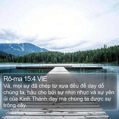 Rô-ma 15:4 VIE Bible Verse Image
