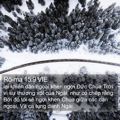 Rô-ma 15:9 VIE Bible Verse Image
