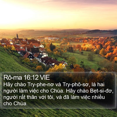 Rô-ma 16:12 VIE Bible Verse Image