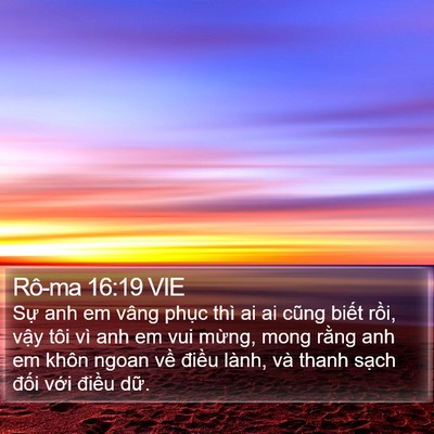 Rô-ma 16:19 VIE Bible Verse Image