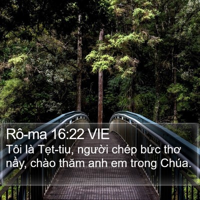Rô-ma 16:22 VIE Bible Verse Image