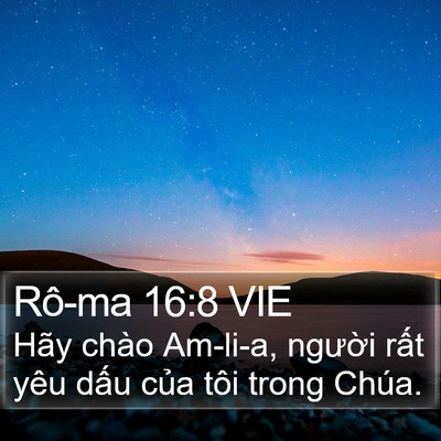 Rô-ma 16:8 VIE Bible Verse Image