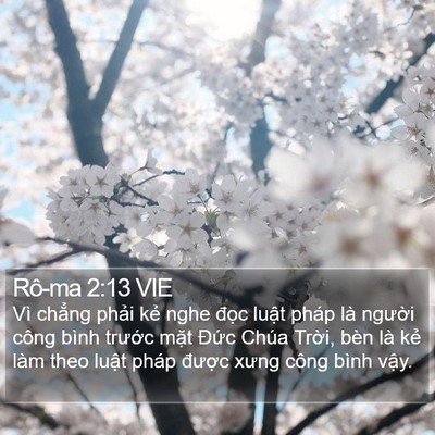 Rô-ma 2:13 VIE Bible Verse Image