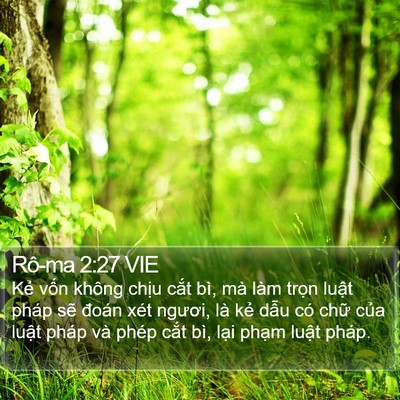 Rô-ma 2:27 VIE Bible Verse Image