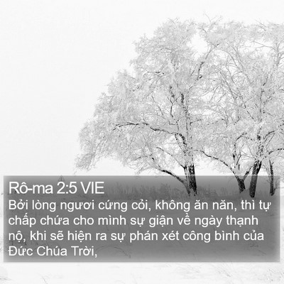 Rô-ma 2:5 VIE Bible Verse Image