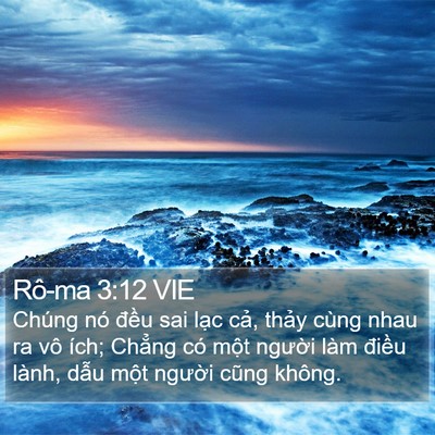 Rô-ma 3:12 VIE Bible Verse Image