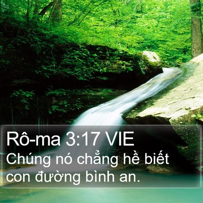 Rô-ma 3:17 VIE Bible Verse Image