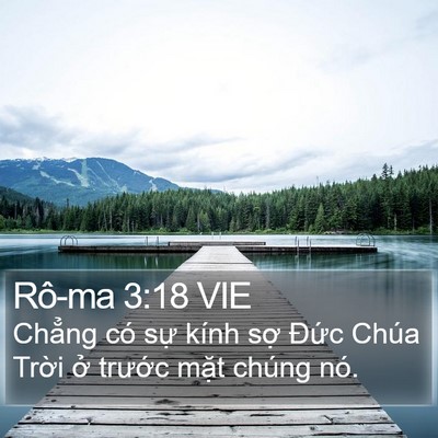Rô-ma 3:18 VIE Bible Verse Image