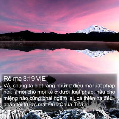 Rô-ma 3:19 VIE Bible Verse Image