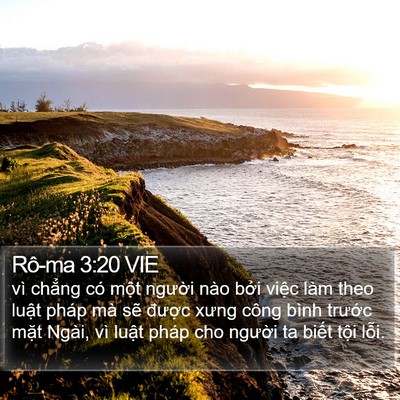 Rô-ma 3:20 VIE Bible Verse Image
