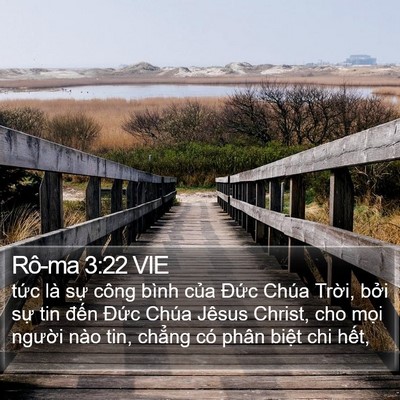 Rô-ma 3:22 VIE Bible Verse Image