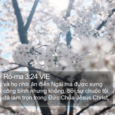 Rô-ma 3:24 VIE Bible Verse Image