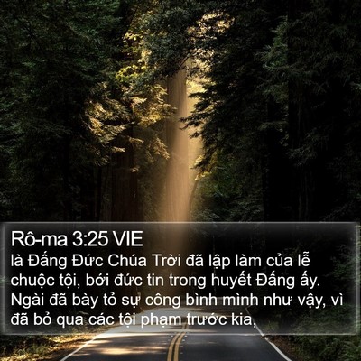 Rô-ma 3:25 VIE Bible Verse Image