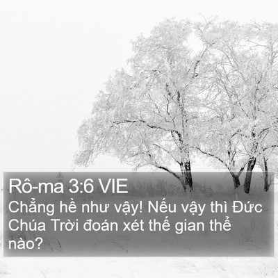 Rô-ma 3:6 VIE Bible Verse Image
