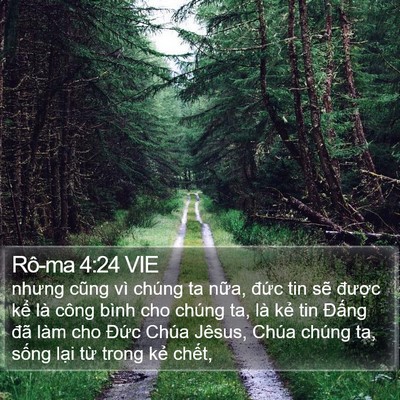Rô-ma 4:24 VIE Bible Verse Image