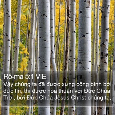 Rô-ma 5:1 VIE Bible Verse Image
