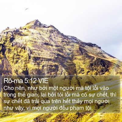Rô-ma 5:12 VIE Bible Verse Image