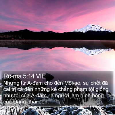 Rô-ma 5:14 VIE Bible Verse Image