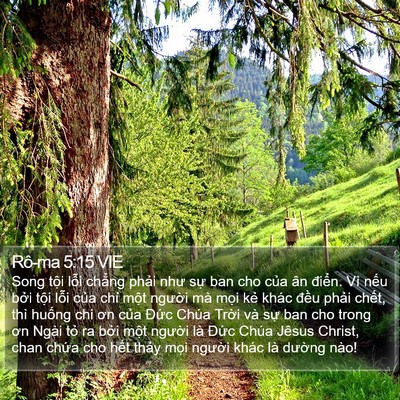 Rô-ma 5:15 VIE Bible Verse Image