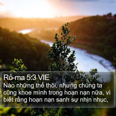 Rô-ma 5:3 VIE Bible Verse Image