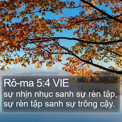 Rô-ma 5:4 VIE Bible Verse Image