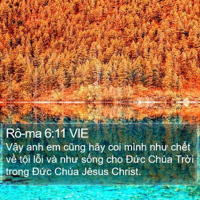 Rô-ma 6:11 VIE Bible Verse Image