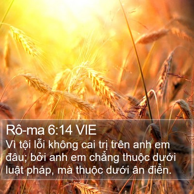 Rô-ma 6:14 VIE Bible Verse Image