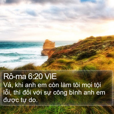 Rô-ma 6:20 VIE Bible Verse Image