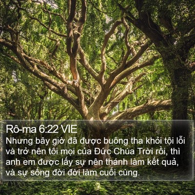 Rô-ma 6:22 VIE Bible Verse Image