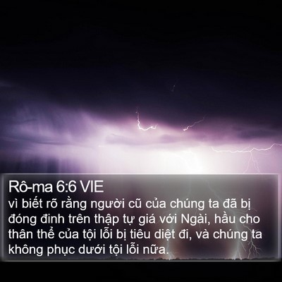 Rô-ma 6:6 VIE Bible Verse Image