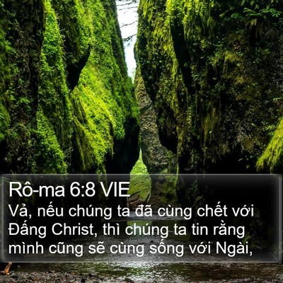 Rô-ma 6:8 VIE Bible Verse Image