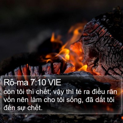 Rô-ma 7:10 VIE Bible Verse Image